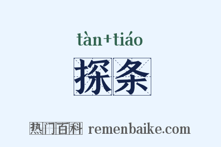 探条是什么意思的图片